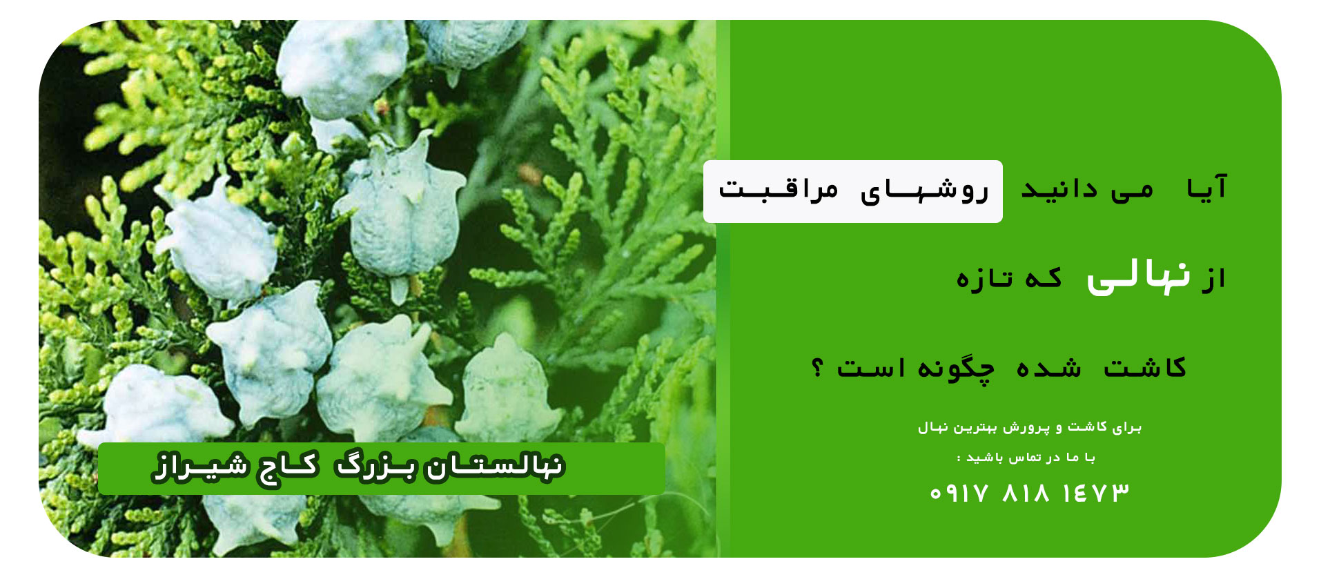 1بنر1