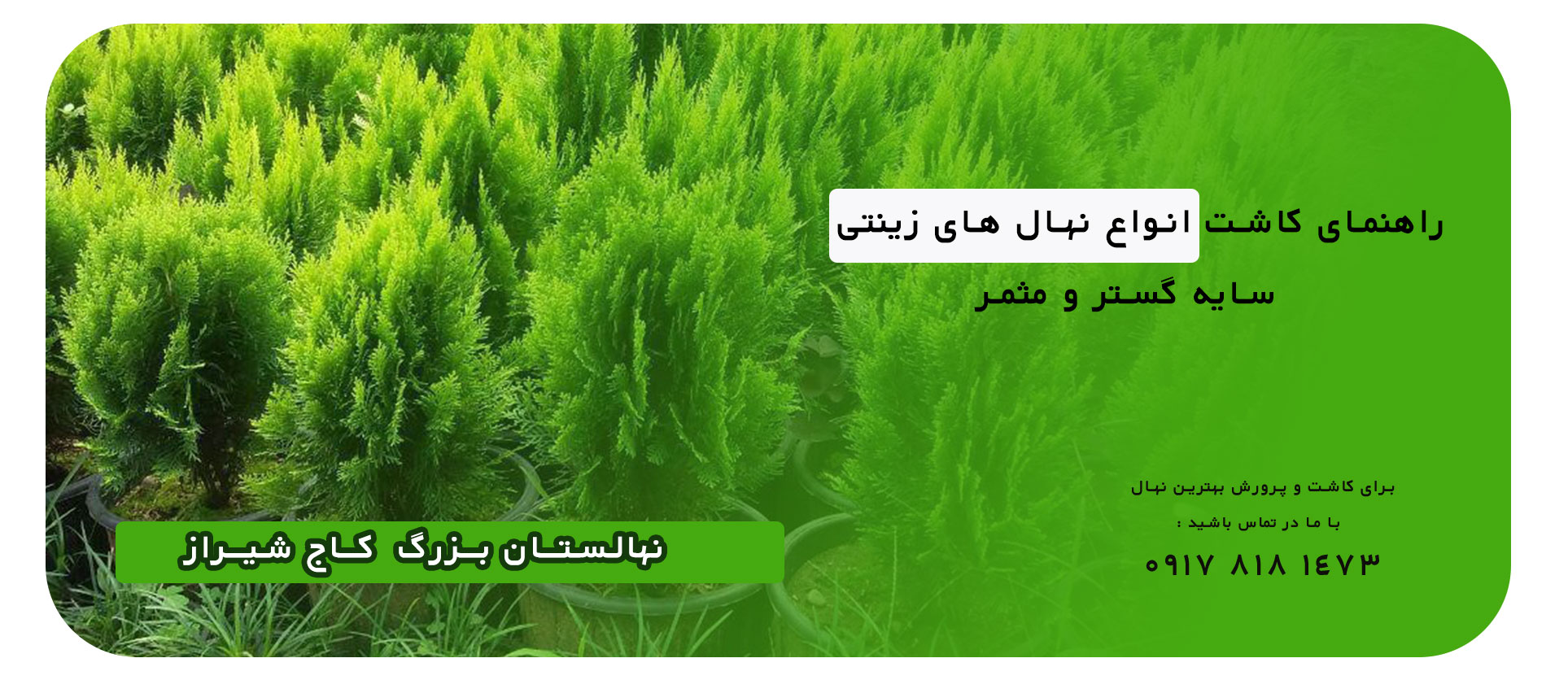بنر