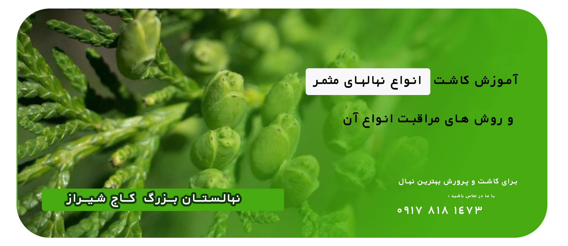 بنر3 1