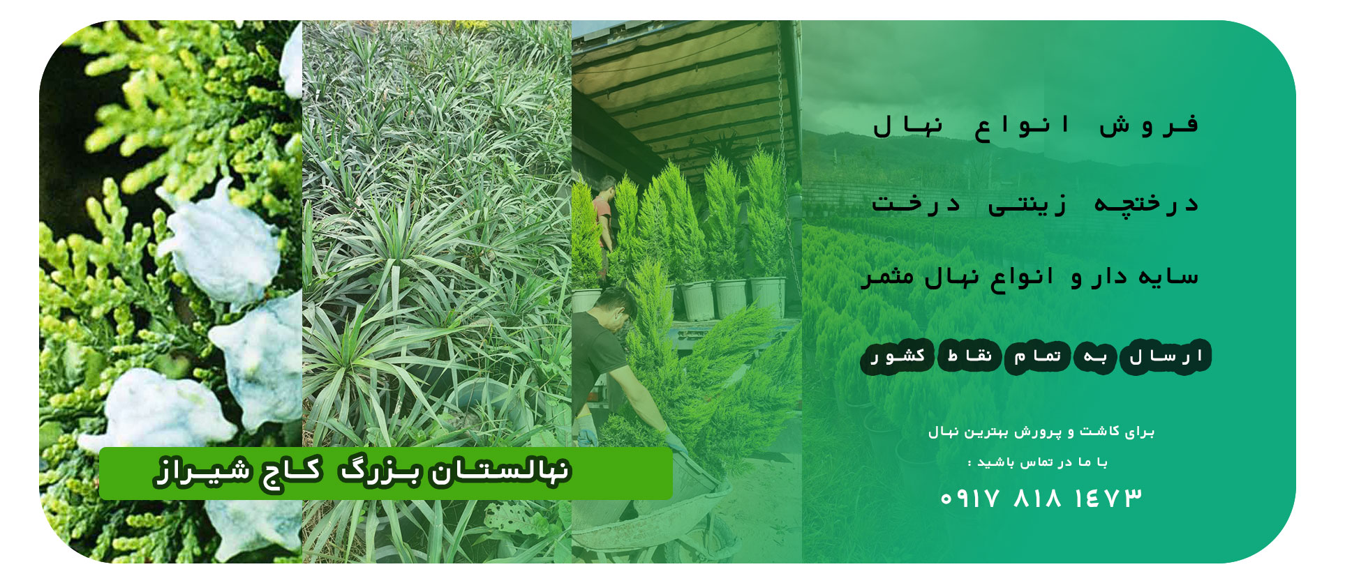 بنر44